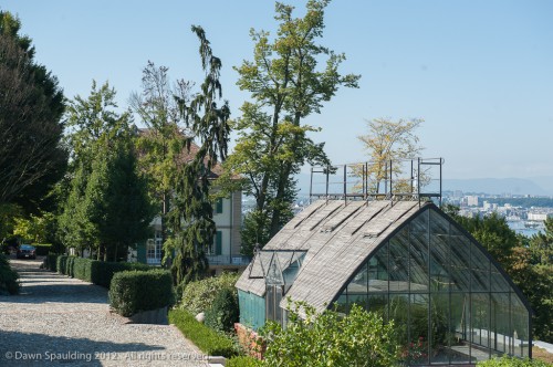Glimpse of the villa (behind the greenhouse)