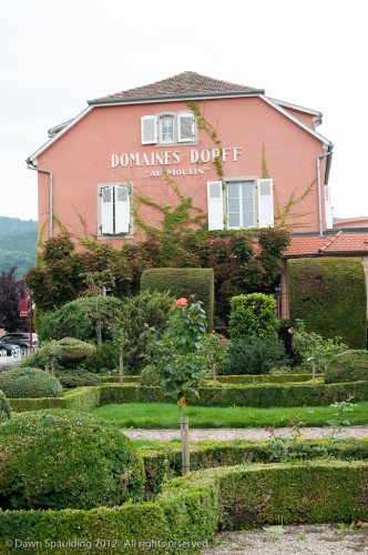 Domaines Dopff and garden