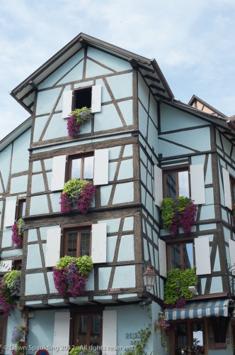 Riquewihr is filled with colorful houses!