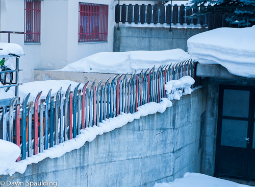 Ski fence