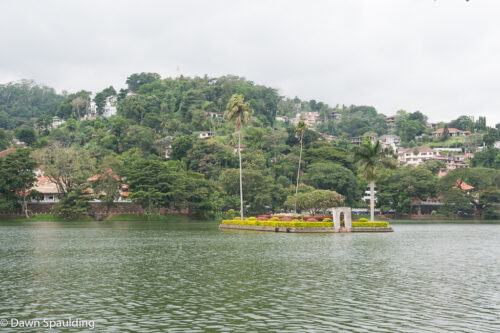 Sri-Lanka-Kandy-4